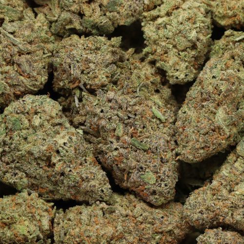 Black Nuken wholesale cannabis