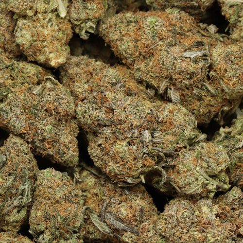 Blue Gelato wholesale cannabis