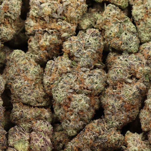 Bombsicle wholesale craft cannabis