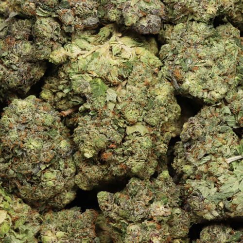 Cartel Kush wholesale cannabis