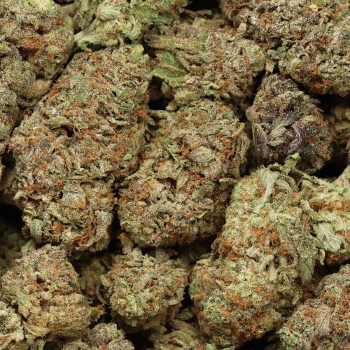 Chocolate Thunder wholesale cannabis