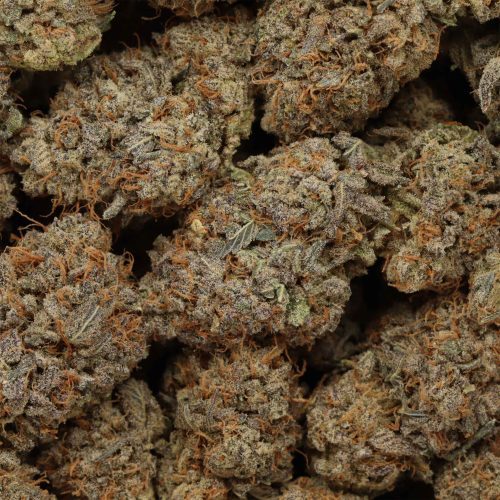 Dark Matter wholesale cannabis