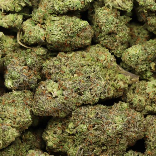 Jet Fuel wholesale cannabis