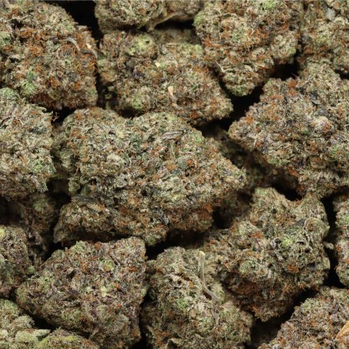 Pink Chapo LSO wholesale craft cannabis