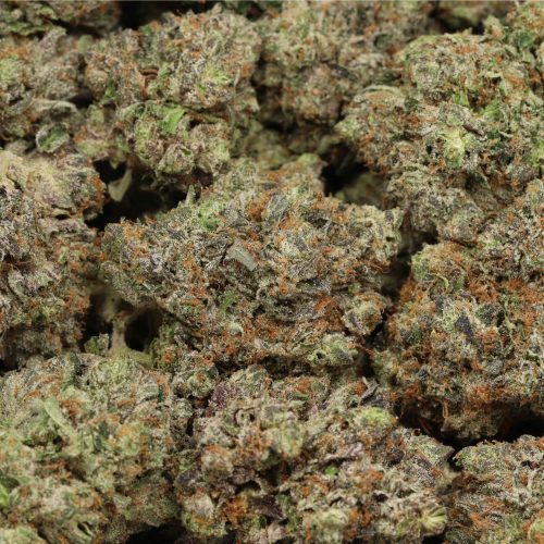 Pink Cookies wholesale craft cannabis