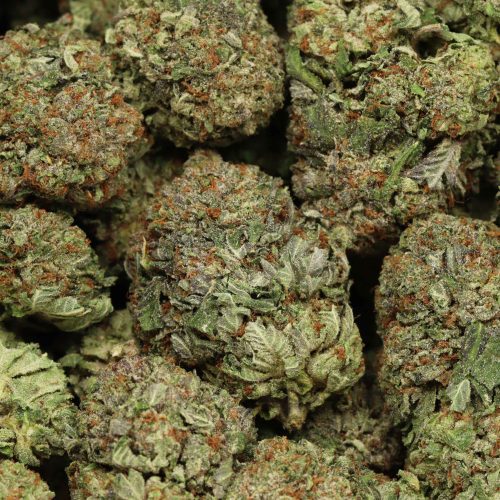 Pink Gas wholesale cannabis