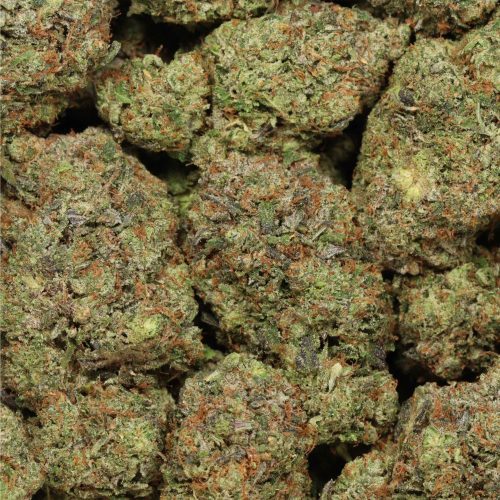 Pink Rozay craft wholesale cannabis