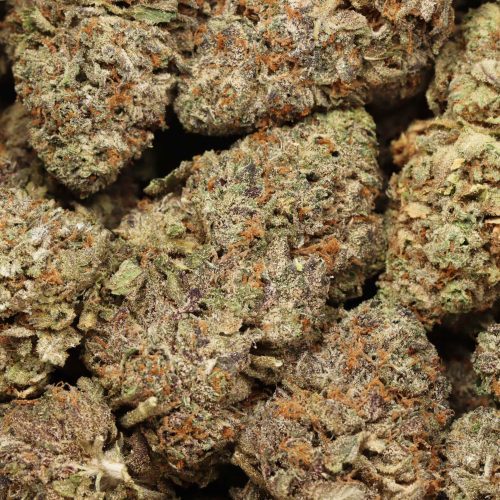 Pink Runtz wholesale cannabis