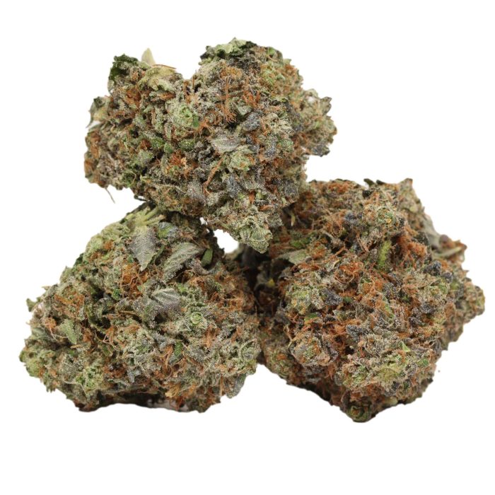 Presidential Pink Kush strain cannabis