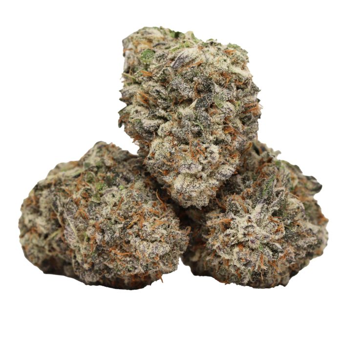 Purple Blizzard craft strain cannabis