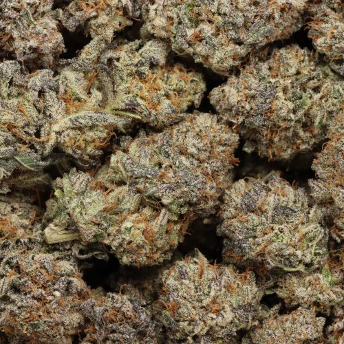 Purple Blizzard craft wholesale cannabis