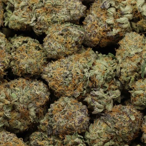 Purple Punch wholesale cannabis