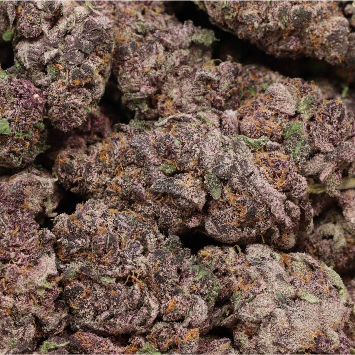 Purple Queen wholesale craft cannabis