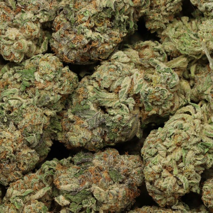 Red Congolese wholesale cannabis