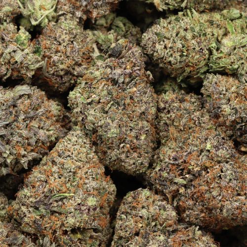 Supreme Death Bubba craft wholesale cannabis