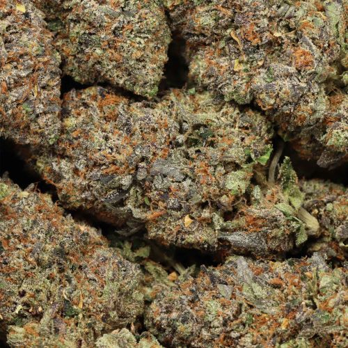 Tuna Kush wholesale craft cannabis