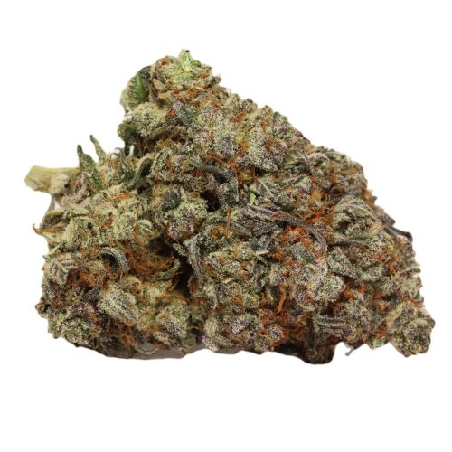 UBC Chemo Kush weed wholesale