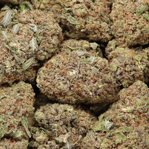 Black Cherry Soda wholesale cannabis