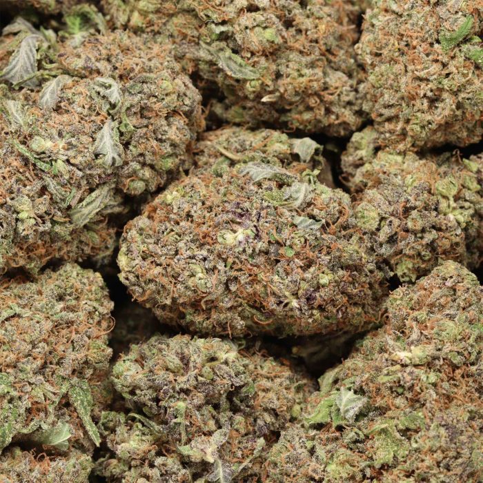 Black Cherry Soda wholesale cannabis