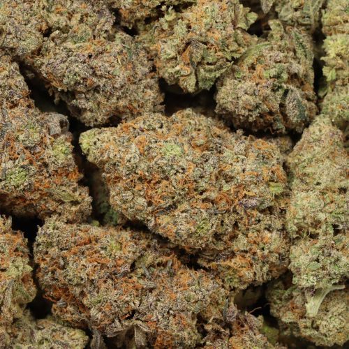 Atomic Blueberry wholesale cannabis