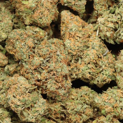 AK-47 wholesale cannabis