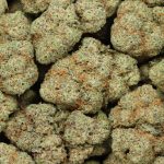 Atomic Bomb cannabis