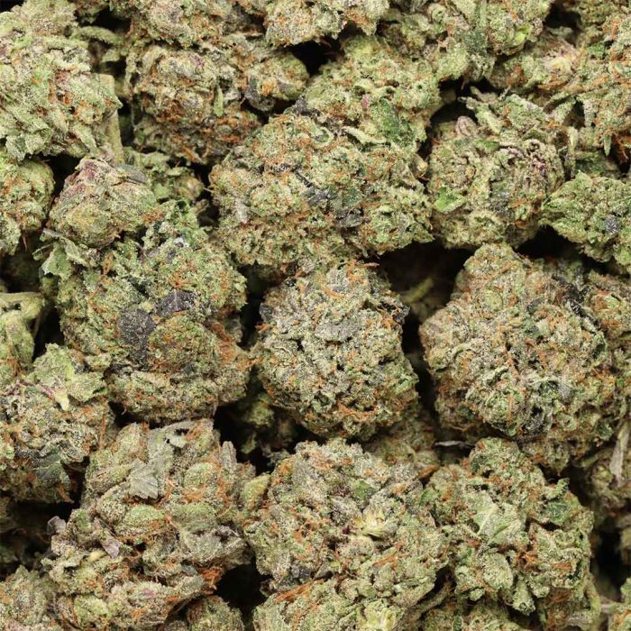 Black Fin Tuna cannabis