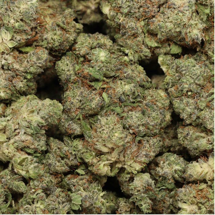 Blue Dream wholesale