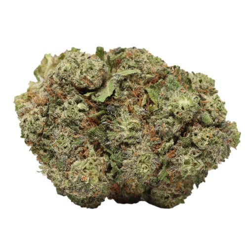 Blue Dream weed wholesale