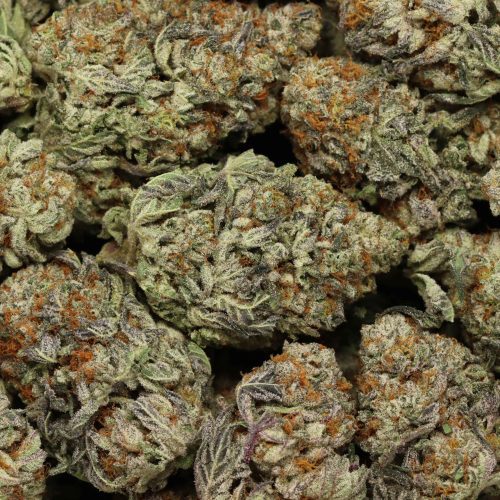 bubba kush wholesale cannabis