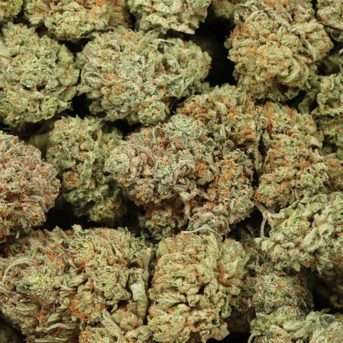 Bubba Kush wholesale cannabis