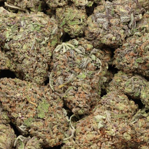 Cherry Diamond wholesale cannabis