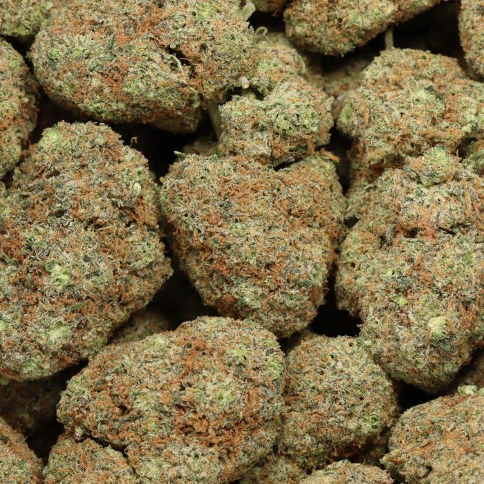 Chocolate Thunder wholesale cannabis