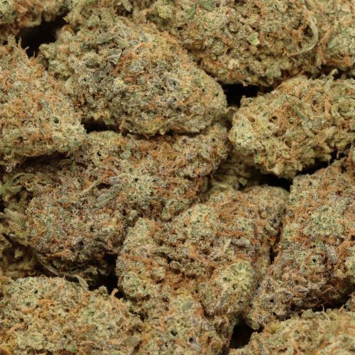 Critical Mass wholesale cannabis