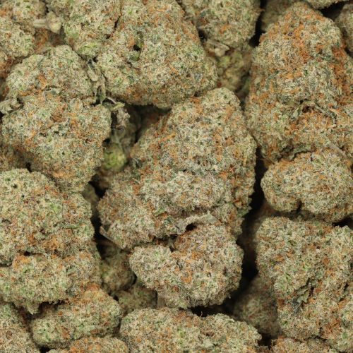 Dank Sinatra wholesale cannabis