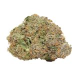Zombie Kush strain cannabis