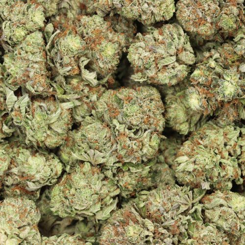 Diablo Death Bubba wholesale cannabis