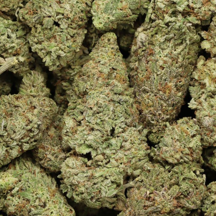 Dirty Mac wholesale cannabis