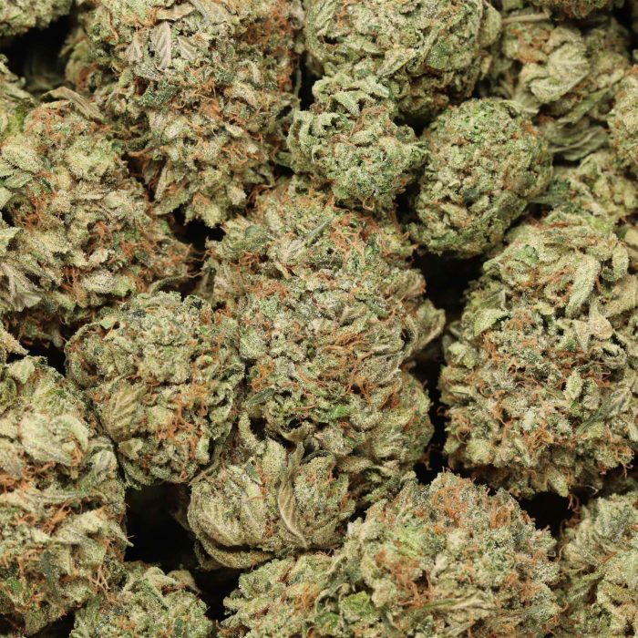 EL Chapo cannabis