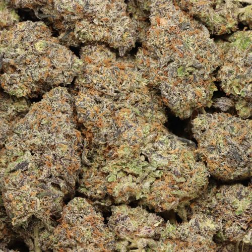 Fancy Funk craft wholesale cannabis