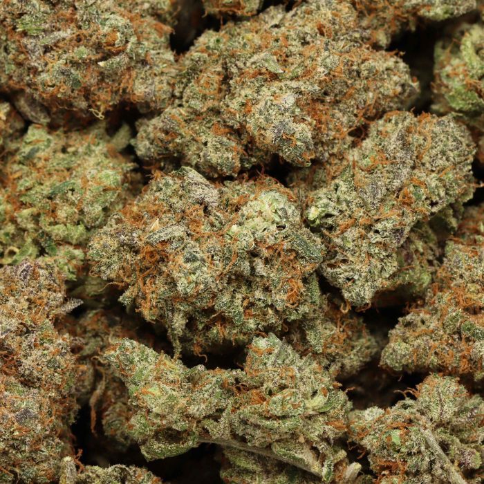 Girl Scout Cookies wholesale cannabis