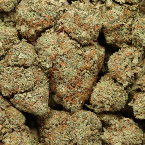 God's Green Crack wholesale cannabis