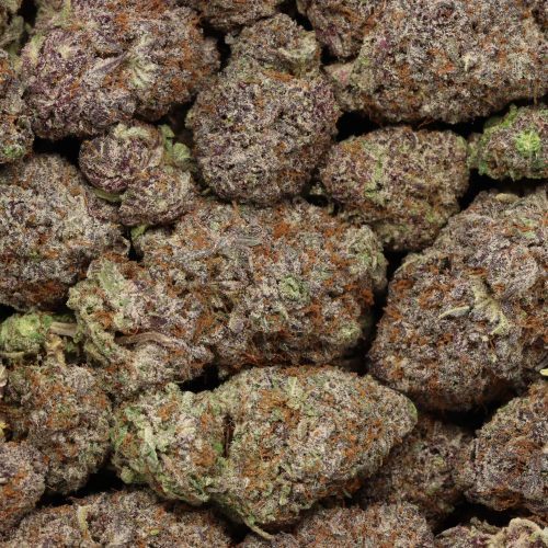 Grape Cake wholesale craft cannabis