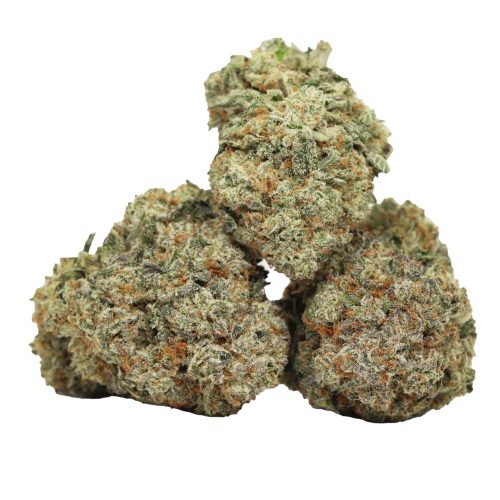 Grape Gasoline strain cannabis