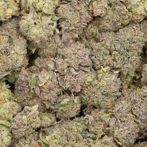 Hawaiian Runtz wholesale cannabis