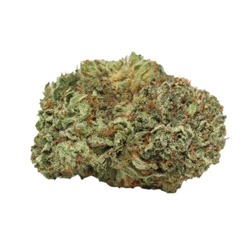 Mataro Blue weed wholesale