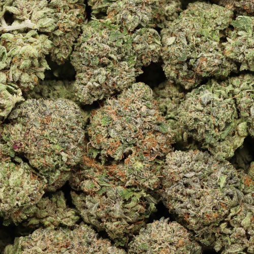 MK Ultra wholesale cannabis