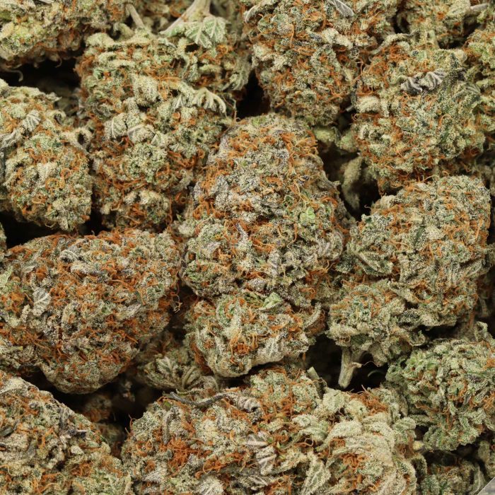 NYC Diesel wholesale cannabis