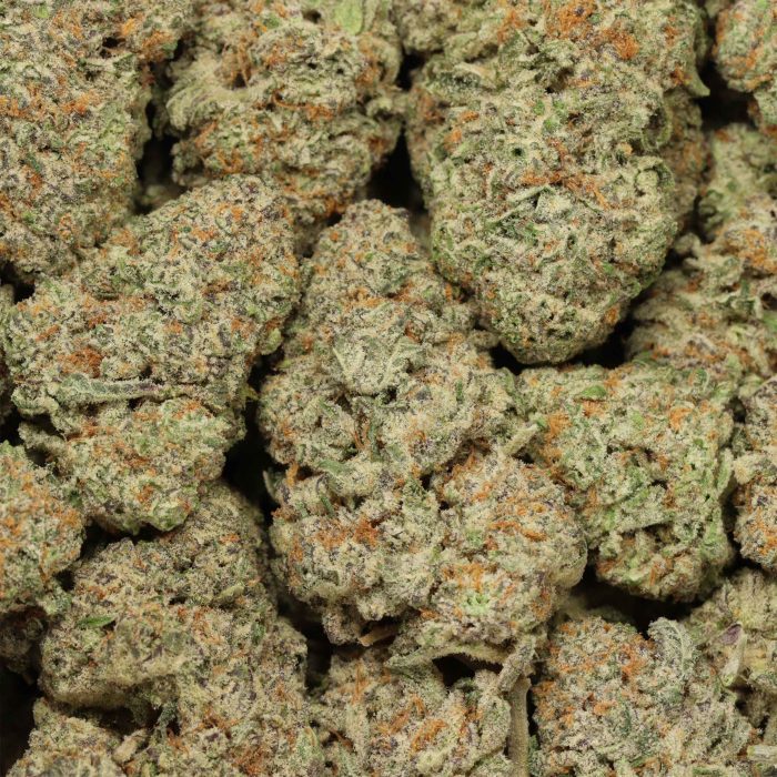 Peyote Breath wholesale cannabis