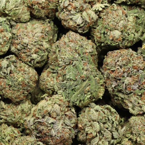 Pink Death wholesale cannabis